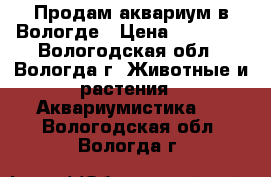 Продам аквариум в Вологде › Цена ­ 10 000 - Вологодская обл., Вологда г. Животные и растения » Аквариумистика   . Вологодская обл.,Вологда г.